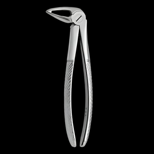 Tooth Forceps N.33-L